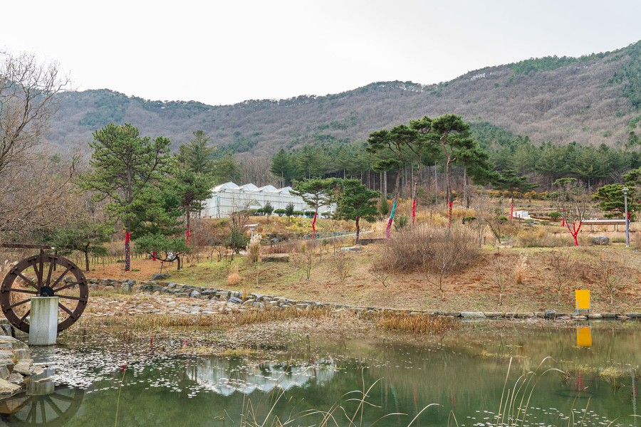 Mugunghwa Arboretum
