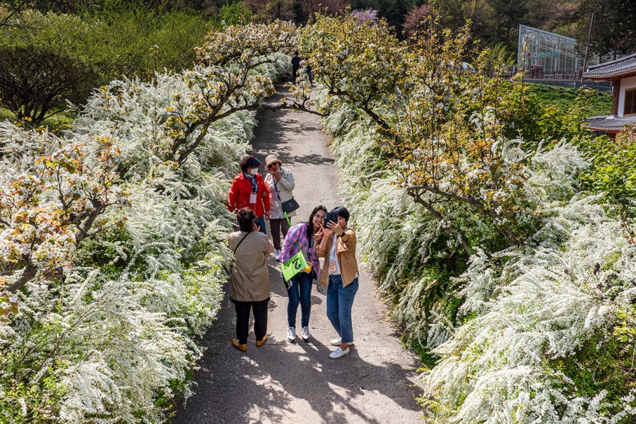 Mugunghwa Arboretum