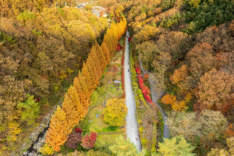 Mugunghwa Arboretum