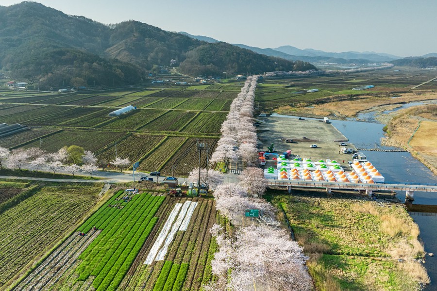 Jusan Spring Flower Festival