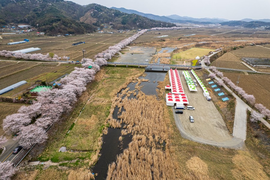 Jusan Spring Flower Festival