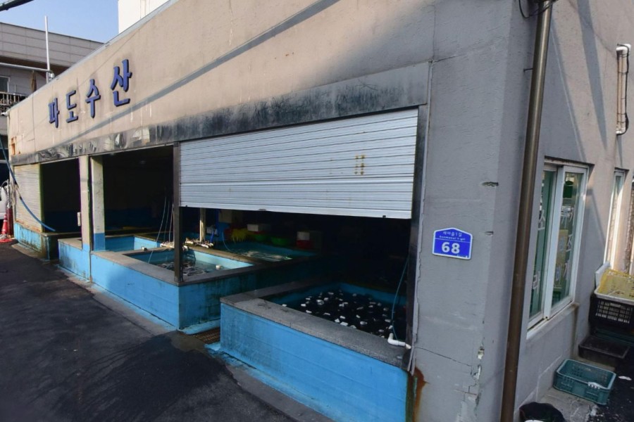 파도수산