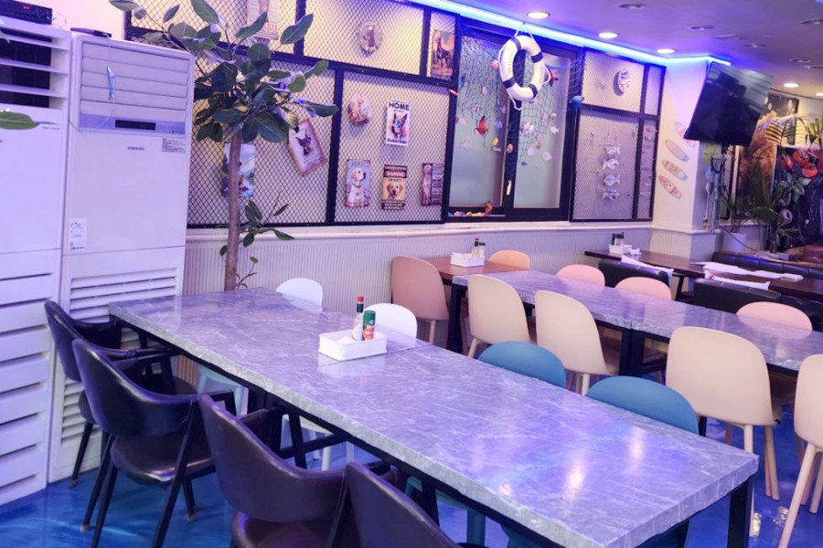 피자와치킨의러브레터