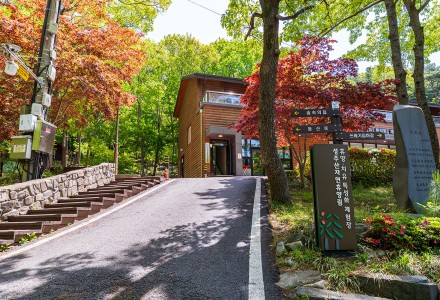 3경 성주산휴양림