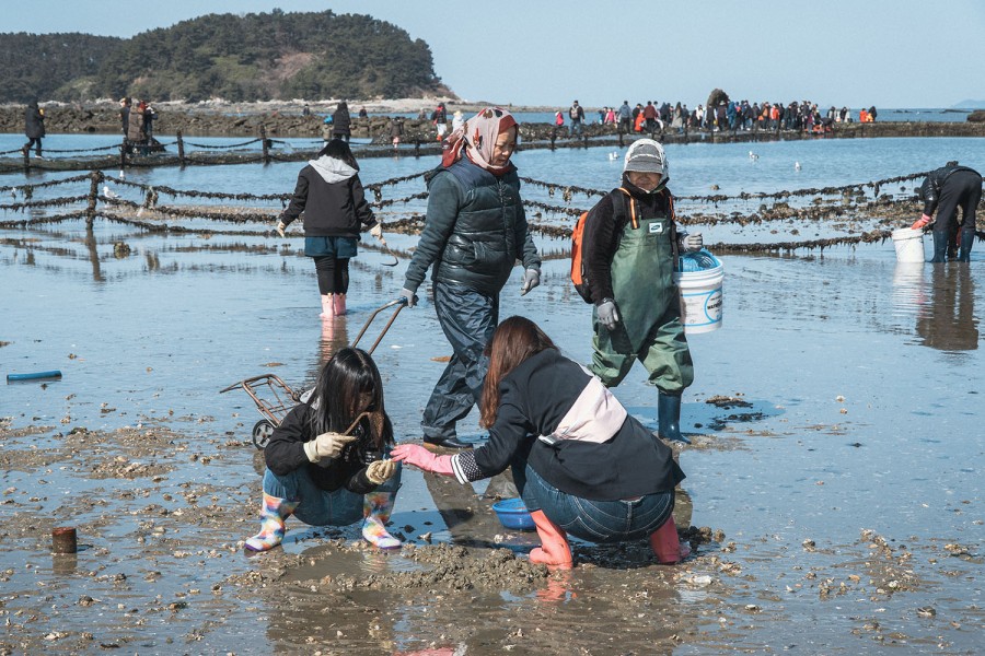 5경 무창포해수욕장