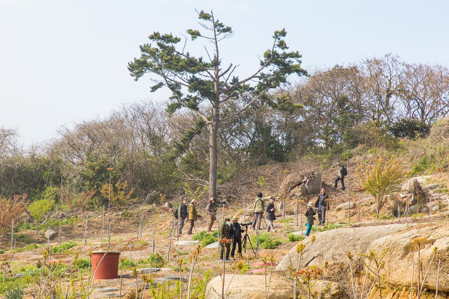 6경 외연도