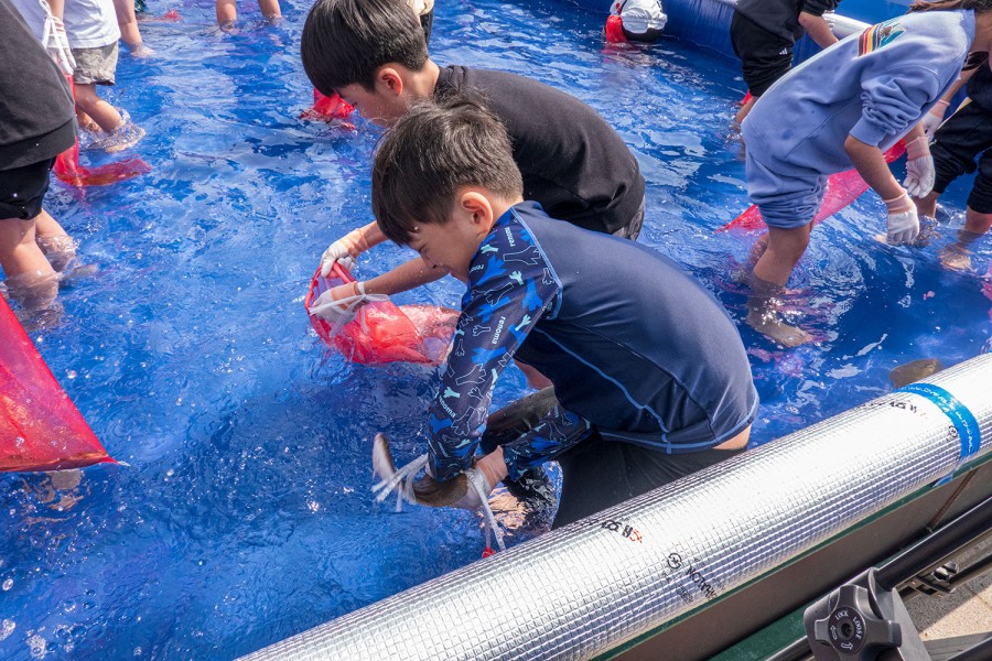 무창포주꾸미.도다리축제