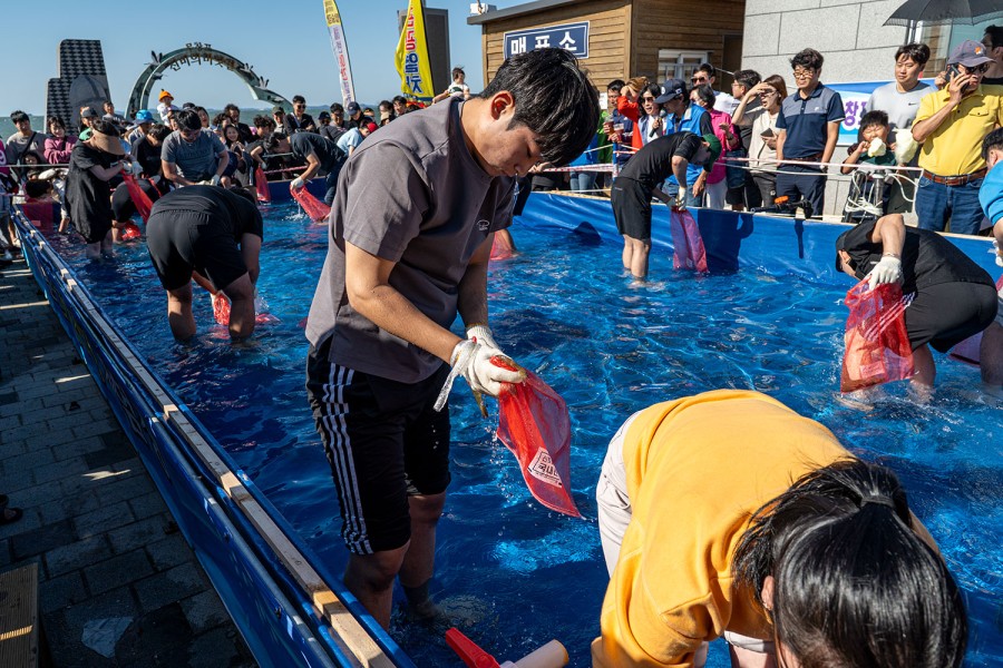 무창포 대하전어축제