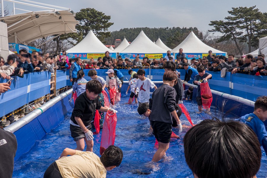 무창포 대하전어축제