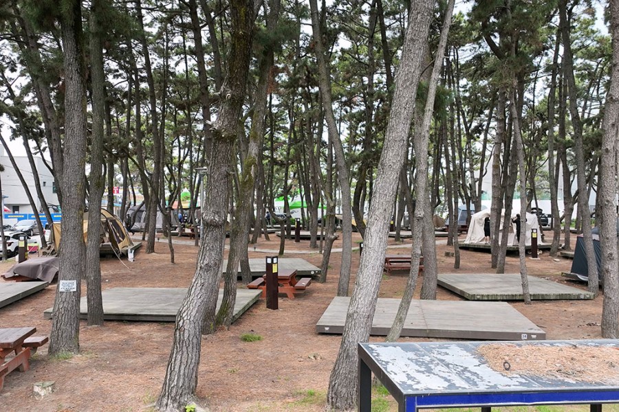공영 제1야영장(노을광장)