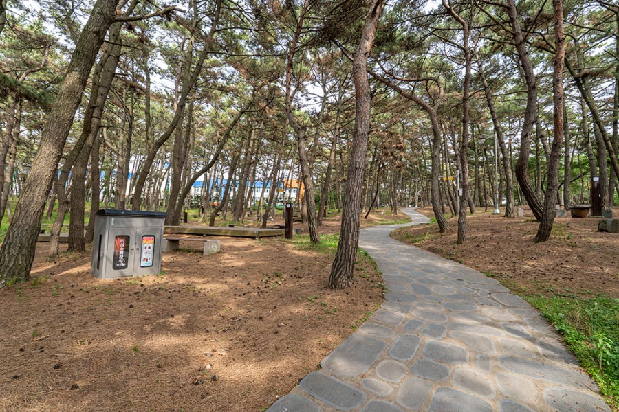 대천해수욕장 제2야영장